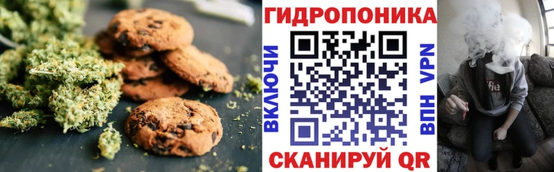 наркота  ОМГ ОМГ онион  Cannafood марихуана  Новый Оскол 
